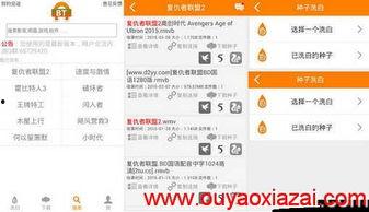 bt国产,揭开神秘国度的神秘面纱