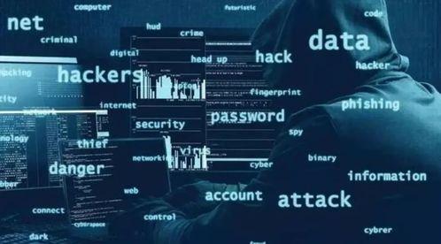 国产高清黄网站全免费