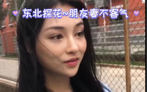 东北国产在线视频,国产在线视频的精彩呈现