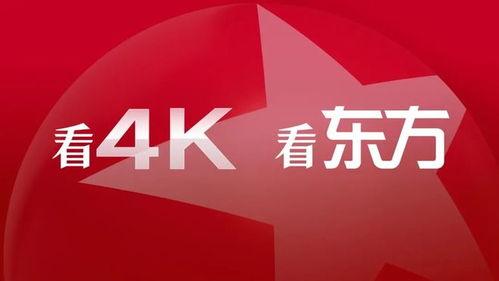 国产精品视,匠心独运，光影交织的艺术盛宴